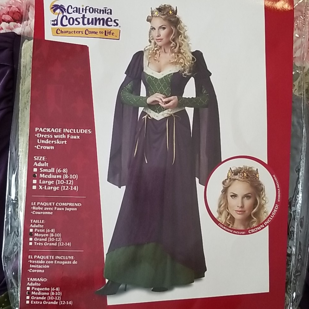 Lady in Waiting/Queen Halloween costume